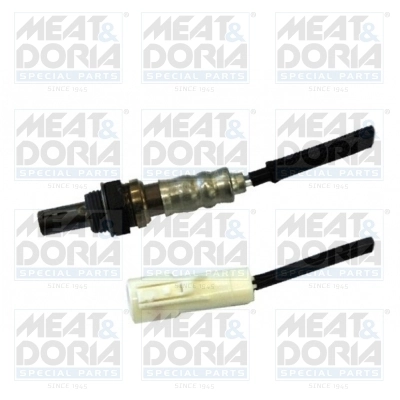 Oxygen Sensor